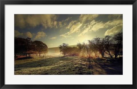 Framed Here Comes the Sun Print