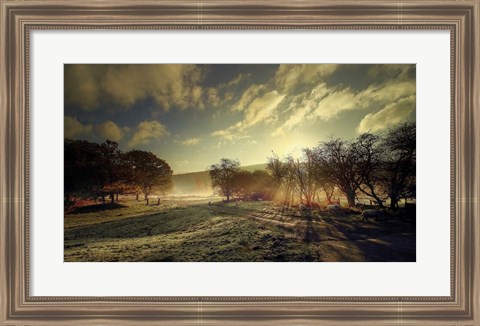 Framed Here Comes the Sun Print