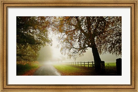 Framed Fog Print