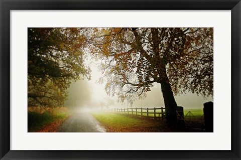 Framed Fog Print