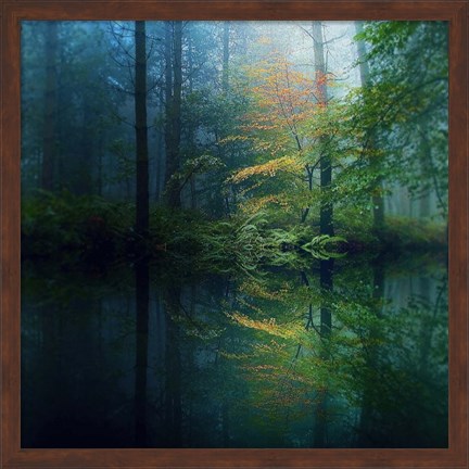 Framed Forest Print