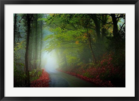 Framed Lane Print