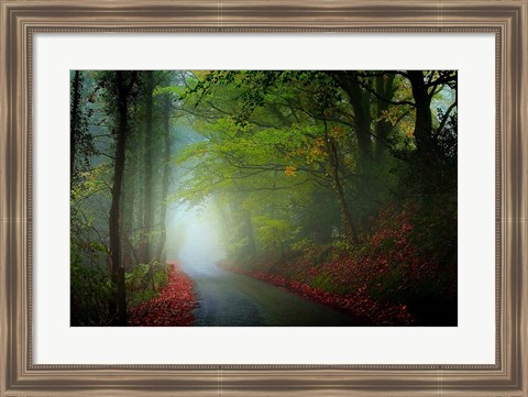 Framed Lane Print