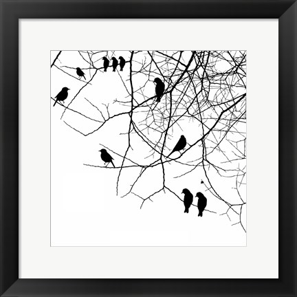 Framed Bird II Print