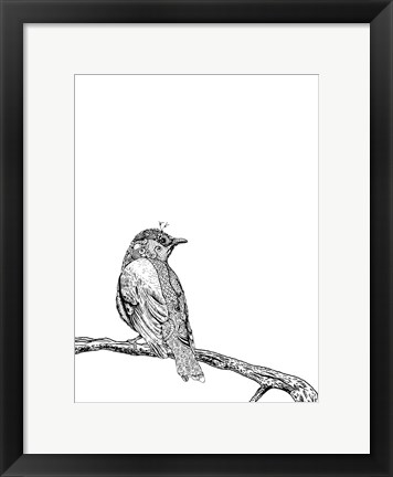 Framed Bird III Print