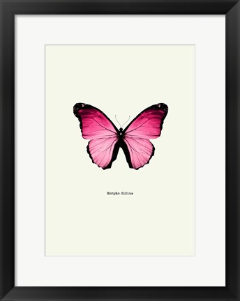 Framed Pink Butterfly Print