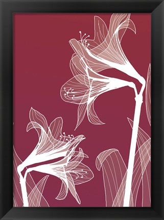 Framed X-ray Flowers Red Print