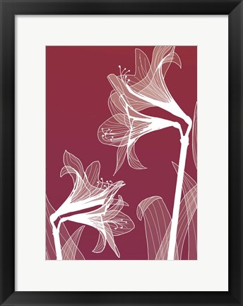 Framed X-ray Flowers Red Print