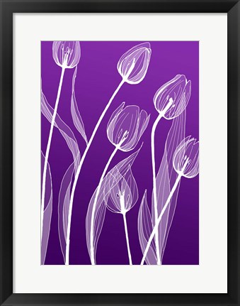 Framed X-ray Flowers Purple Print