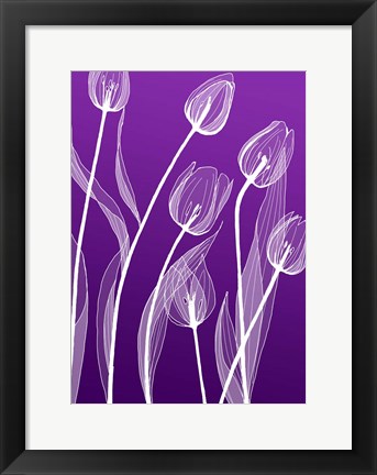 Framed X-ray Flowers Purple Print