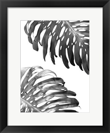 Framed Double Philodendron (BW) Print