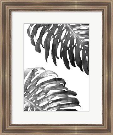 Framed Double Philodendron (BW) Print