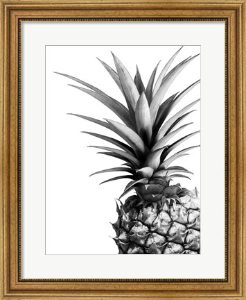 Framed Pineapple (BW) Print