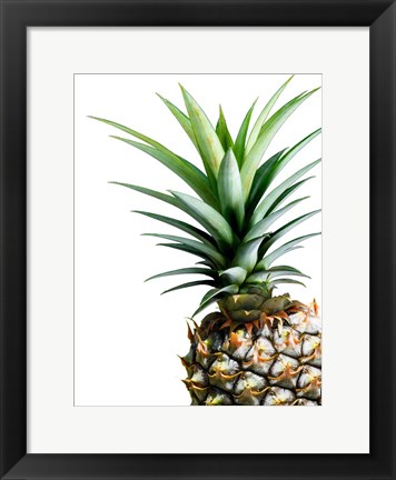 Framed Pineapple (color) Print