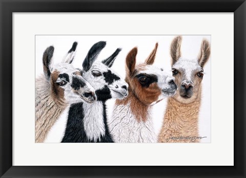 Framed Peruvian Visitors Print