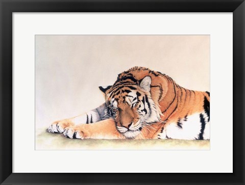 Framed Sleeping Tiger Print