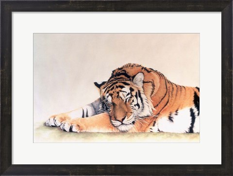 Framed Sleeping Tiger Print