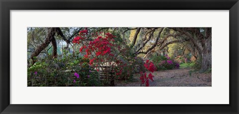 Framed Springtime Morning Print