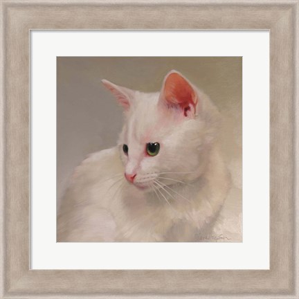 Framed White Kitten Print