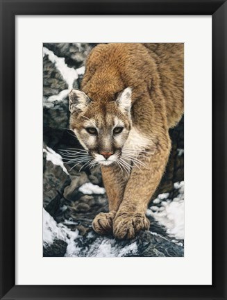 Framed Silent Approach Print