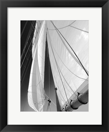 Framed Sailboat Sails Florida Print