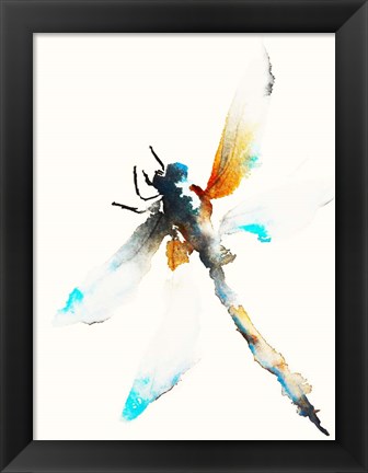 Framed Blue &amp; Brown Dragonfly Print