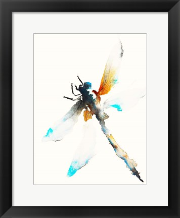 Framed Blue &amp; Brown Dragonfly Print