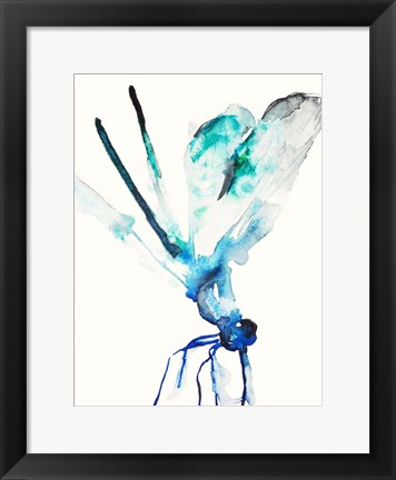 Framed Blue &amp; Green Dragonfly Print