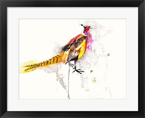 Framed Pheasant Print