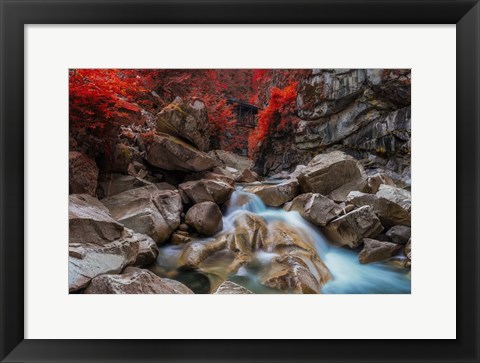 Framed Othello Tunnels Print