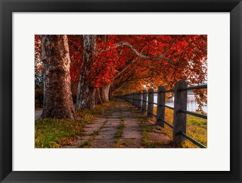 Framed Walk by the River Print