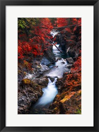 Framed Water in the Fall Print