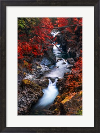 Framed Water in the Fall Print