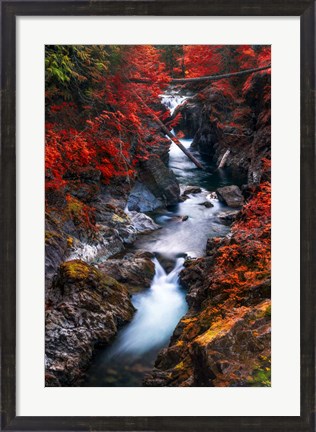 Framed Water in the Fall Print