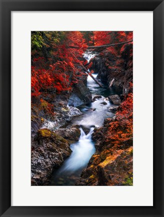 Framed Water in the Fall Print