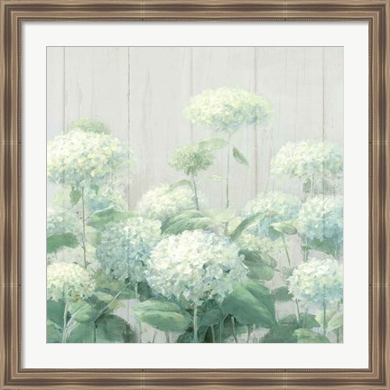 Framed White Hydrangea Garden Sage on Wood Crop Print