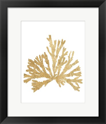 Framed Pacific Sea Mosses IV Gold Print