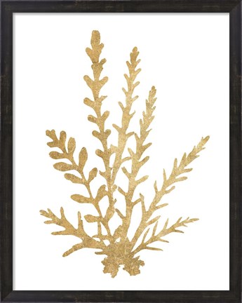 Framed Pacific Sea Mosses III Gold Print