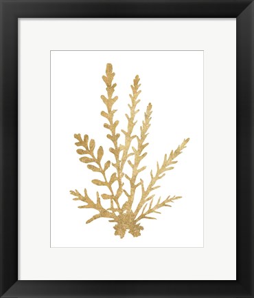 Framed Pacific Sea Mosses III Gold Print