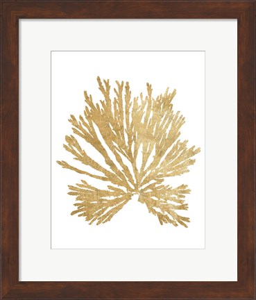 Framed Pacific Sea Mosses II Gold Print