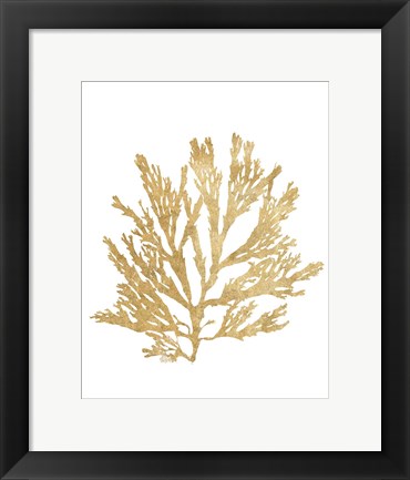 Framed Pacific Sea Mosses I Gold Print