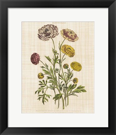 Framed Herbal Botany XXII v2 Linen Crop Print