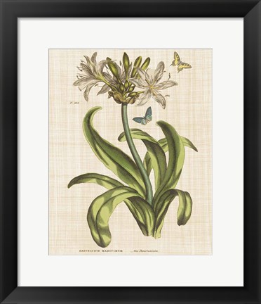 Framed Herbal Botany XX Butterfly Linen Crop Print