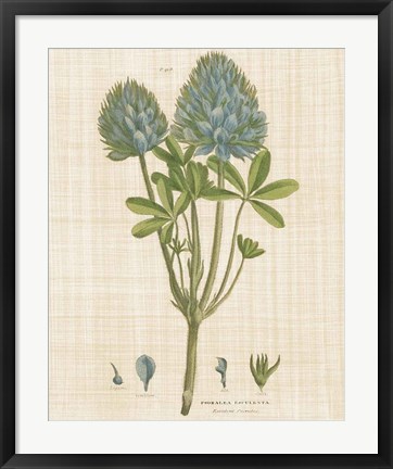 Framed Herbal Botany XV Linen Crop Print