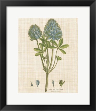 Framed Herbal Botany XV Linen Crop Print