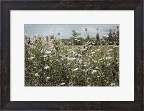 Framed Sun Drenched III Print