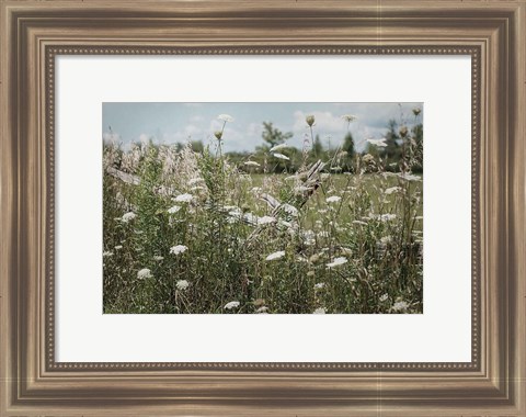 Framed Sun Drenched III Print