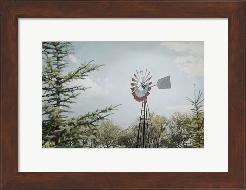 Framed Sun Drenched I Print