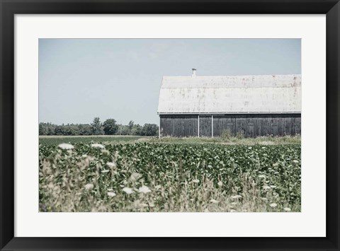 Framed Weathered I Print