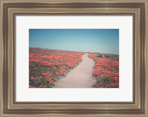 Framed California Blooms IV Print